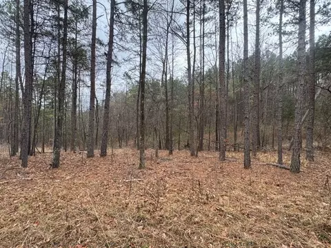 tbd Nc 3050, Jasper, AR 72641 photo 12
