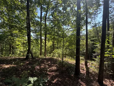 tbd Nc 3050, Jasper, AR 72641 photo 22