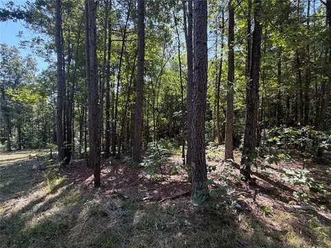 tbd Nc 3050, Jasper, AR 72641 photo 11