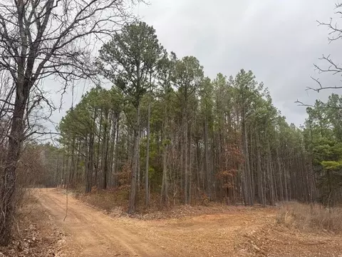 tbd Nc 3050, Jasper, AR 72641 photo 3
