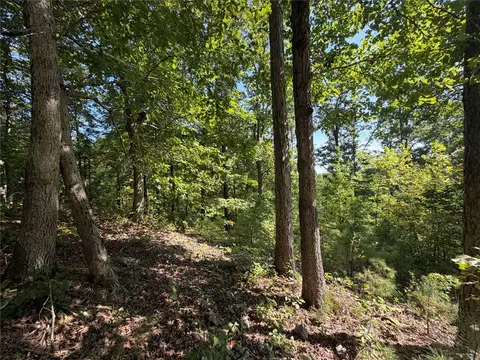tbd Nc 3050, Jasper, AR 72641 photo 23