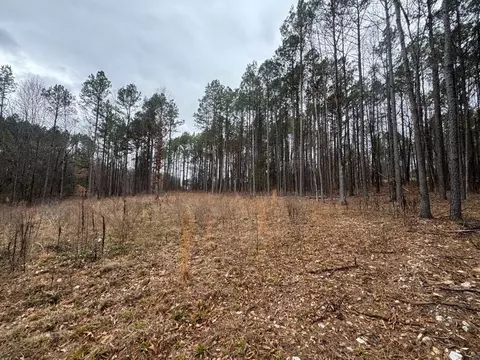 tbd Nc 3050, Jasper, AR 72641 photo 10