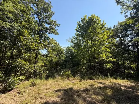 tbd Nc 3050, Jasper, AR 72641 photo 19