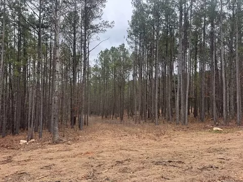 tbd Nc 3050, Jasper, AR 72641 photo 7