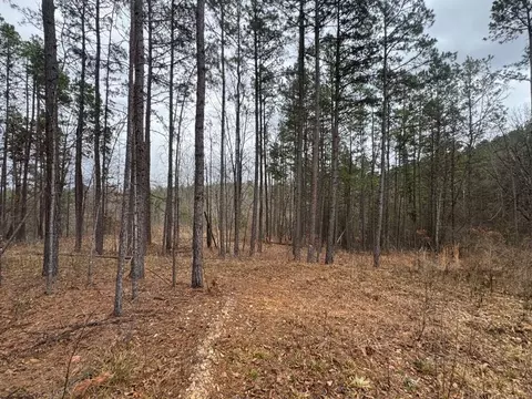 tbd Nc 3050, Jasper, AR 72641 photo 11
