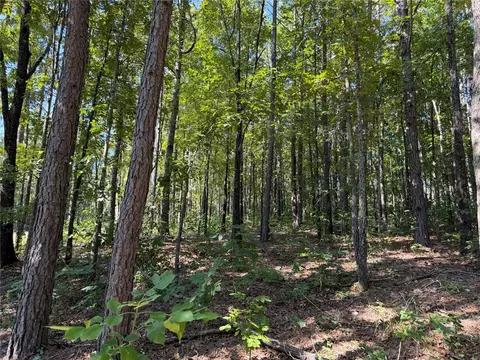 tbd Nc 3050, Jasper, AR 72641 photo 28