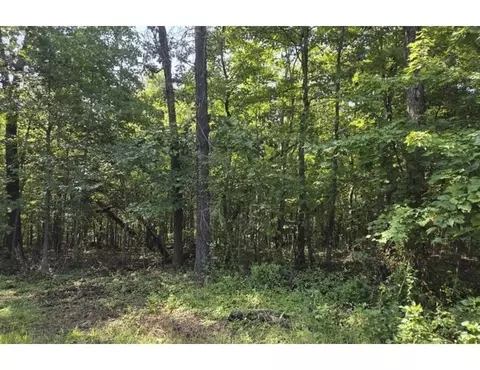 Pamela Lane, Bella Vista, AR 72715