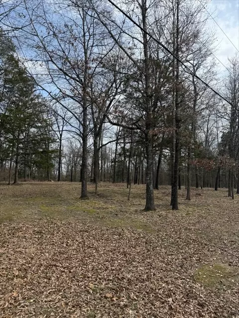 42 Douglas Cv, Lead Hill, AR 72644