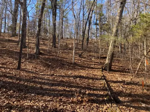 Oregon, Eureka Springs, AR 72632