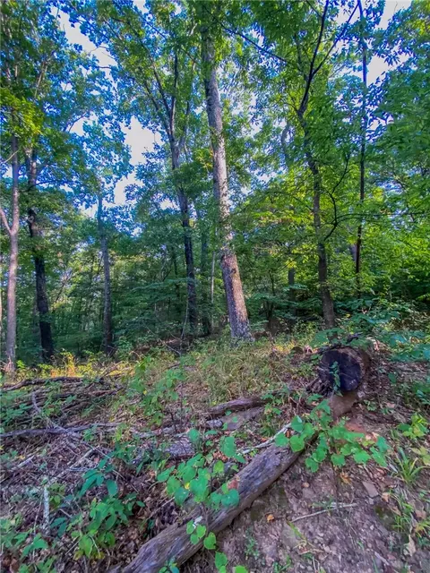 Exterior - tbd Bug Scuffle Rd, West Fork, AR 72774 photo 6 of 7