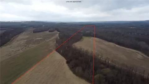 000 Ross Hollow Rd, Roland, AR 72135