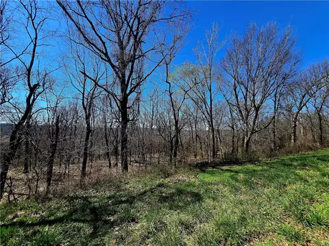 19743 Hale Mountain Rd, Canehill, AR 72717