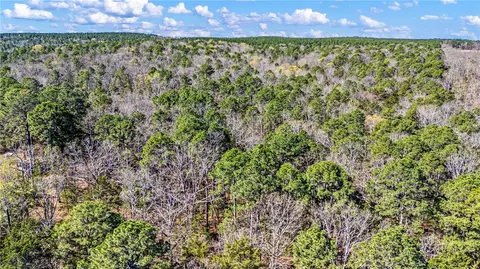 Riverside Road, Delaware, AR 72835 photo 5
