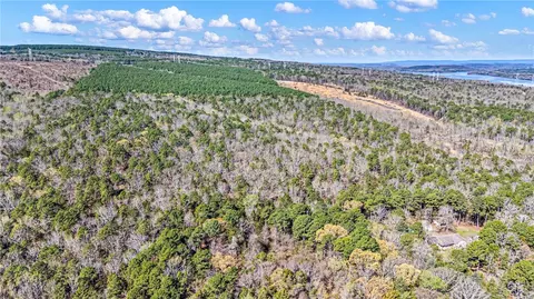 Riverside Road, Delaware, AR 72835 photo 6
