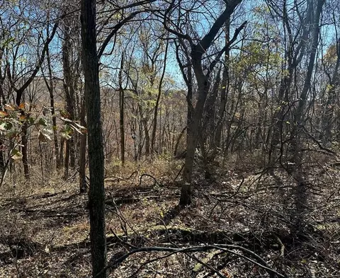 Aster Drive, Rogers, AR 72756