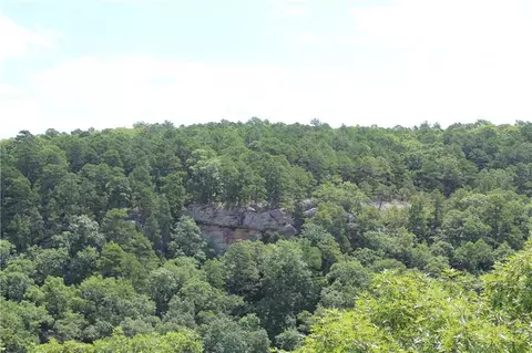 View/Area - 338 Nc 1814, Compton, AR 72624 photo 3 of 23