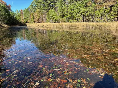 View/Area - 338 Nc 1814, Compton, AR 72624 photo 15 of 23