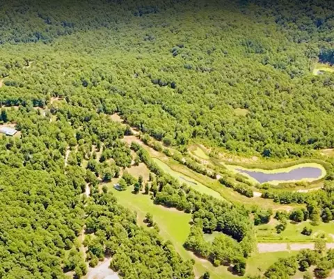 View/Area - 338 Nc 1814, Compton, AR 72624 photo 1 of 23