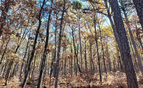 Other - 338 Nc 1814, Compton, AR 72624 photo 6 of 21