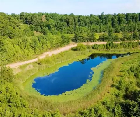 View/Area - 338 Nc 1814, Compton, AR 72624 photo 11 of 23