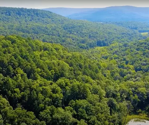 View/Area - 338 Nc 1814, Compton, AR 72624 photo 6 of 23