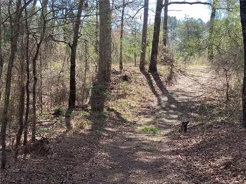 16327 Slade Rd, Other, AR 72122 photo 3