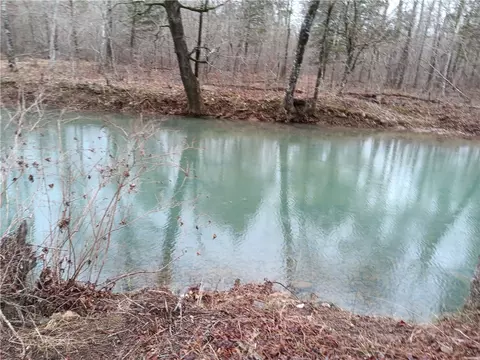 16327 Slade Rd, Other, AR 72122 photo 11