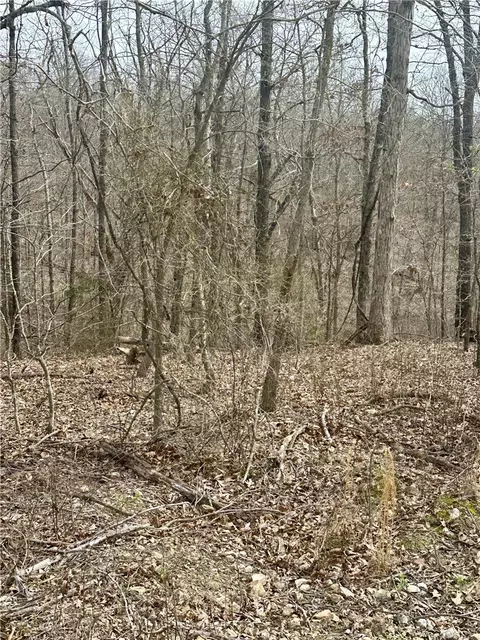 lot5 Aberdeen Dr, Bella Vista, AR 72715