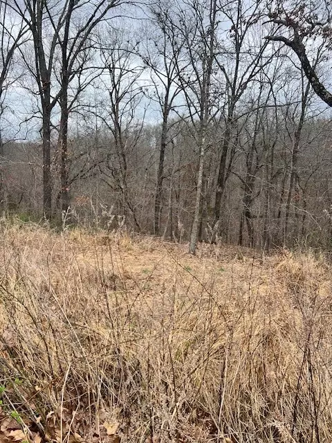 Sanquhar Lane, Bella Vista, AR 72715