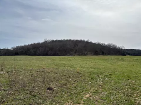 Mc 5008, Bruno, AR 72618 photo 6