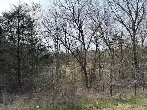 Mc 5008, Bruno, AR 72618 photo 31