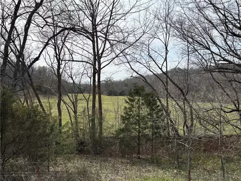 Mc 5008, Bruno, AR 72618 photo 39