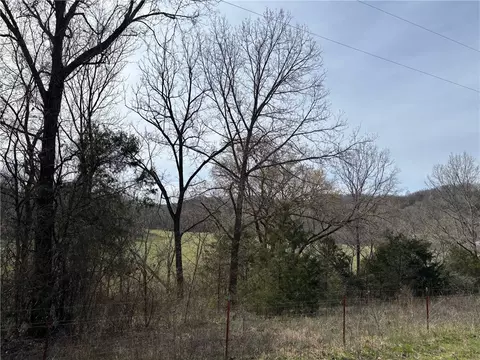 Mc 5008, Bruno, AR 72618 photo 34