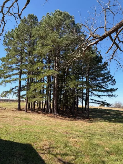 439 Crossing Rd, Stella, MO 64867 photo 18