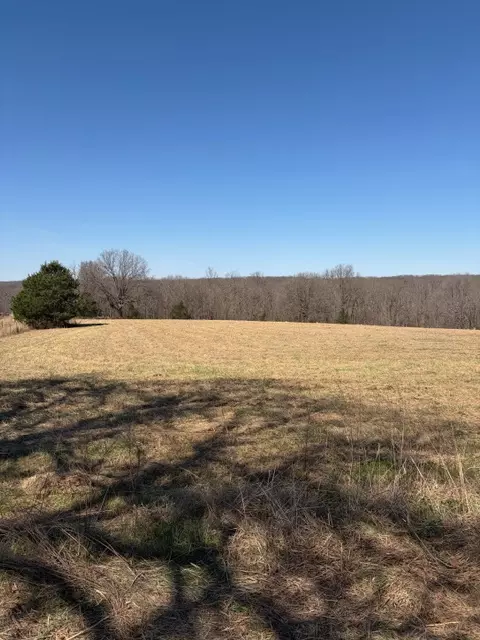 439 Crossing Rd, Stella, MO 64867 photo 20