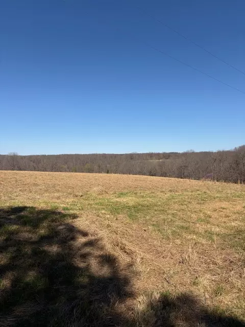 439 Crossing Rd, Stella, MO 64867 photo 19