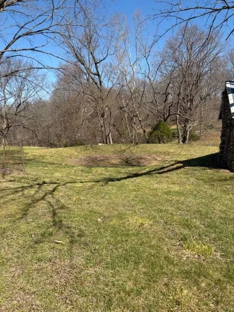 439 Crossing Rd, Stella, MO 64867 photo 16