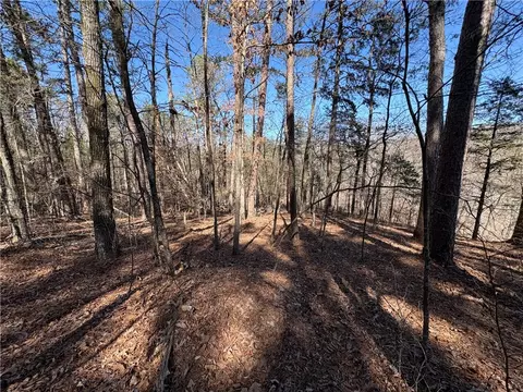 Middle Ridge, Ozark, AR 72949 photo 27