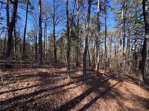 Middle Ridge, Ozark, AR 72949 photo 16