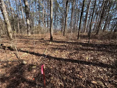 Middle Ridge, Ozark, AR 72949 photo 12