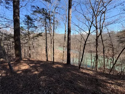 Middle Ridge, Ozark, AR 72949 photo 21
