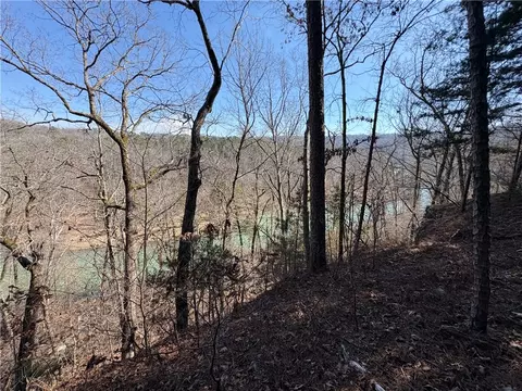 Middle Ridge, Ozark, AR 72949 photo 15