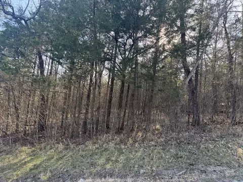 1 Table Rockcottonwood Dr, Holiday Island, AR 72631
