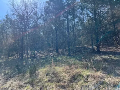 29 Wild Turkey Dr, Holiday Island, AR 72631