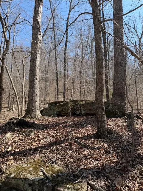 3348 Madison 6351, Wesley, AR 72773 photo 16