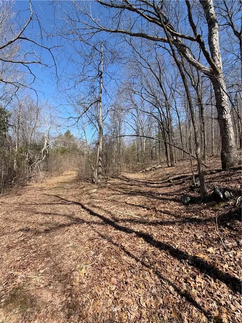 3348 Madison 6351, Wesley, AR 72773 photo 15