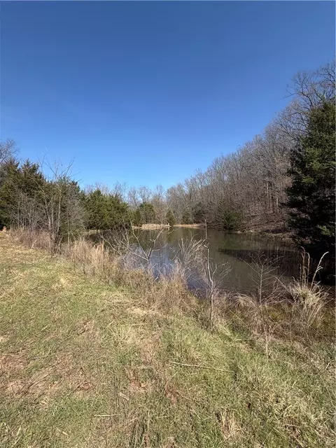 3348 Madison 6351, Wesley, AR 72773 photo 17