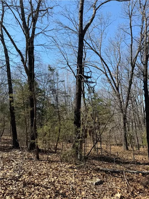 3348 Madison 6351, Wesley, AR 72773 photo 14