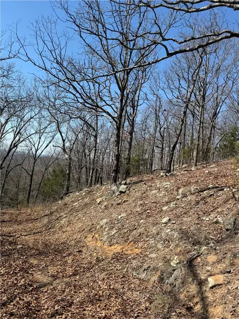 3348 Madison 6351, Wesley, AR 72773 photo 13