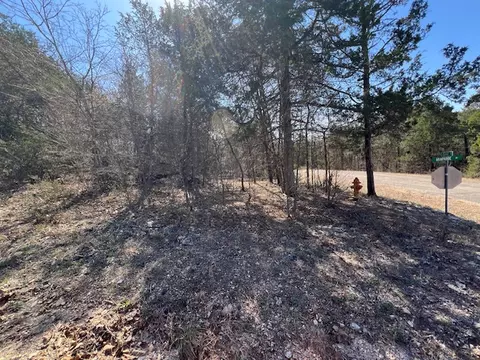 24 Arapahoe Dr, Holiday Island, AR 72631